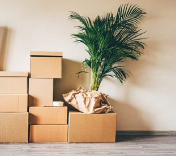 شركة نقل الاثاث بالرياض